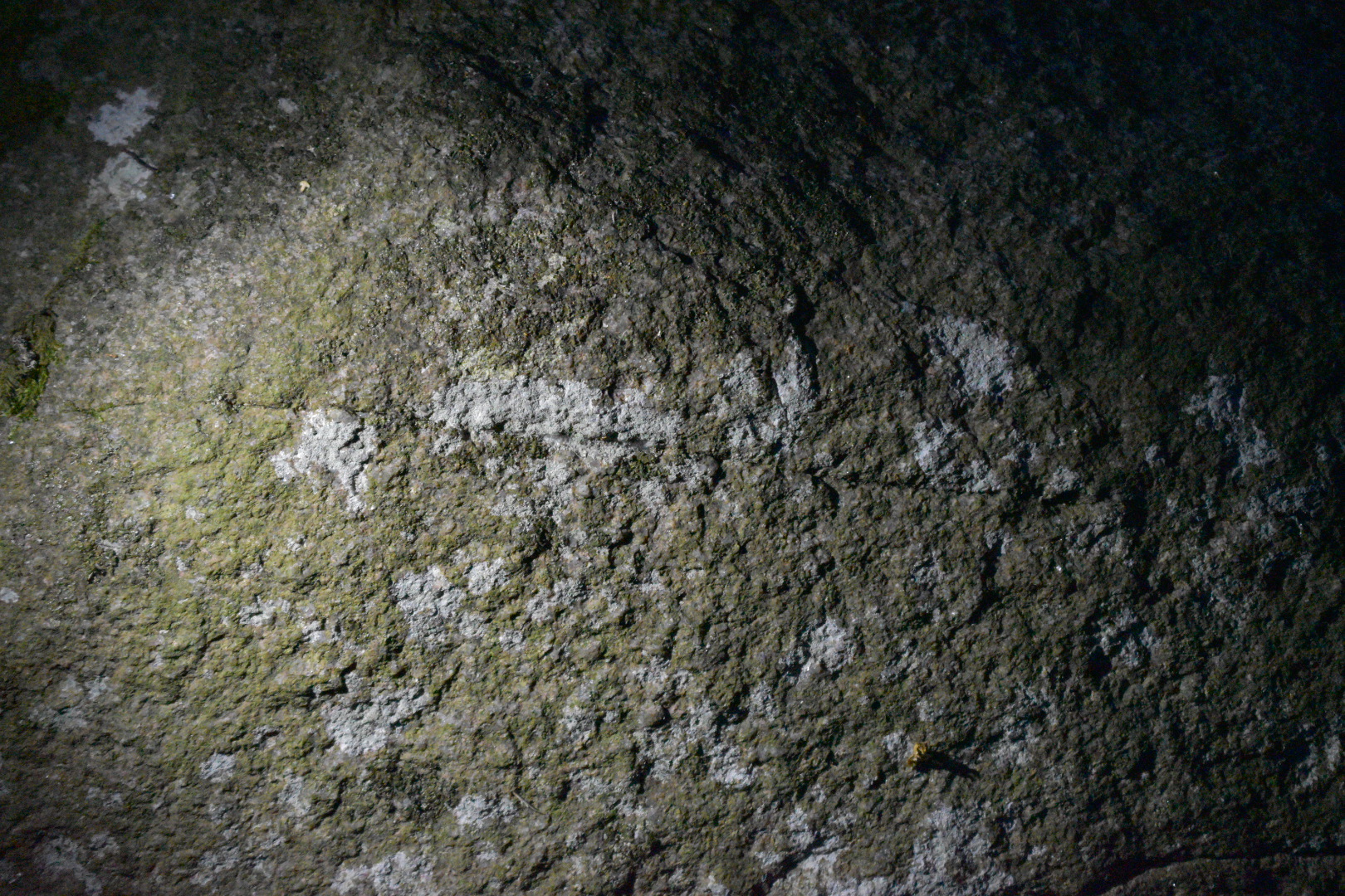 DSC_2448.JPG