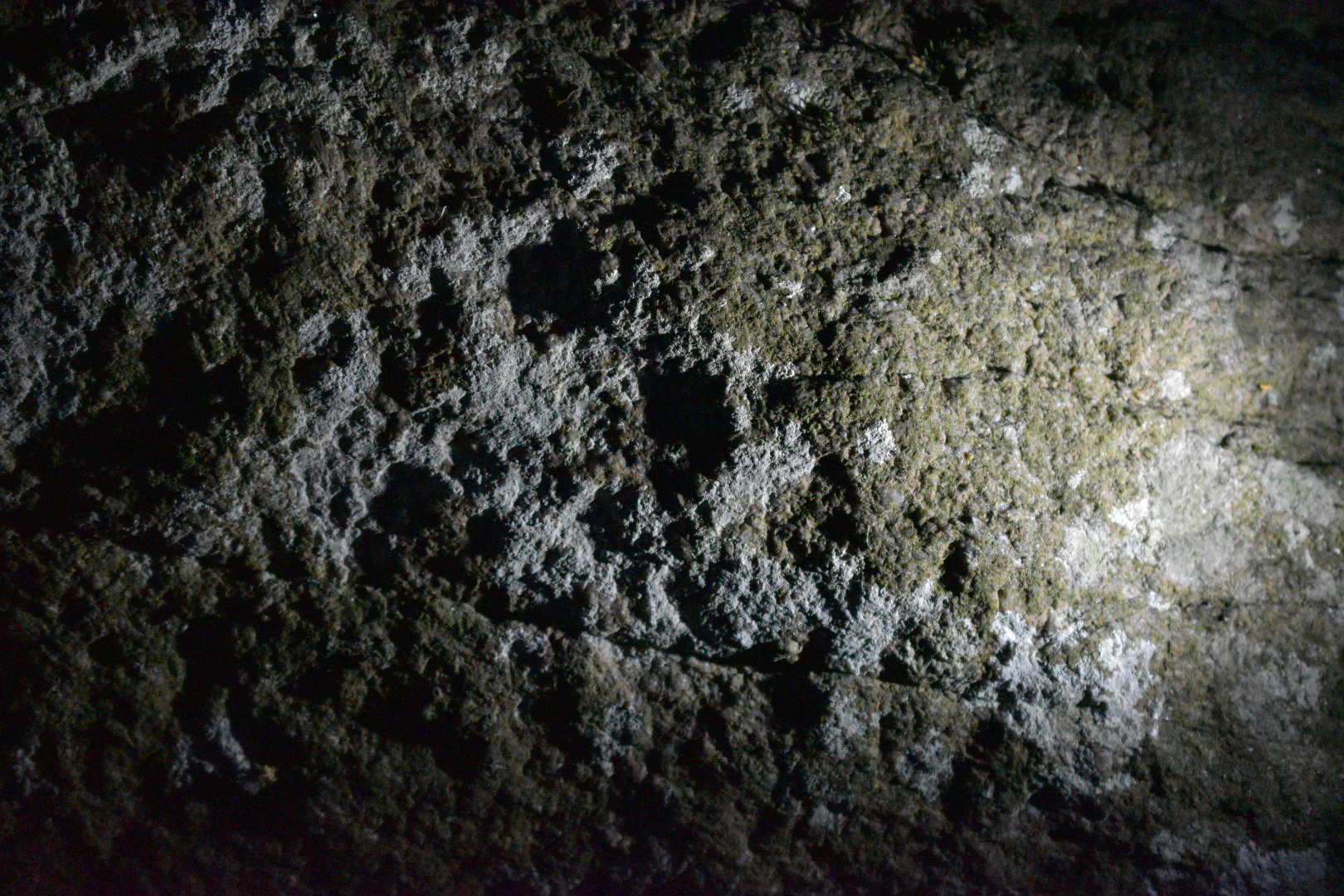 DSC_2451.JPG