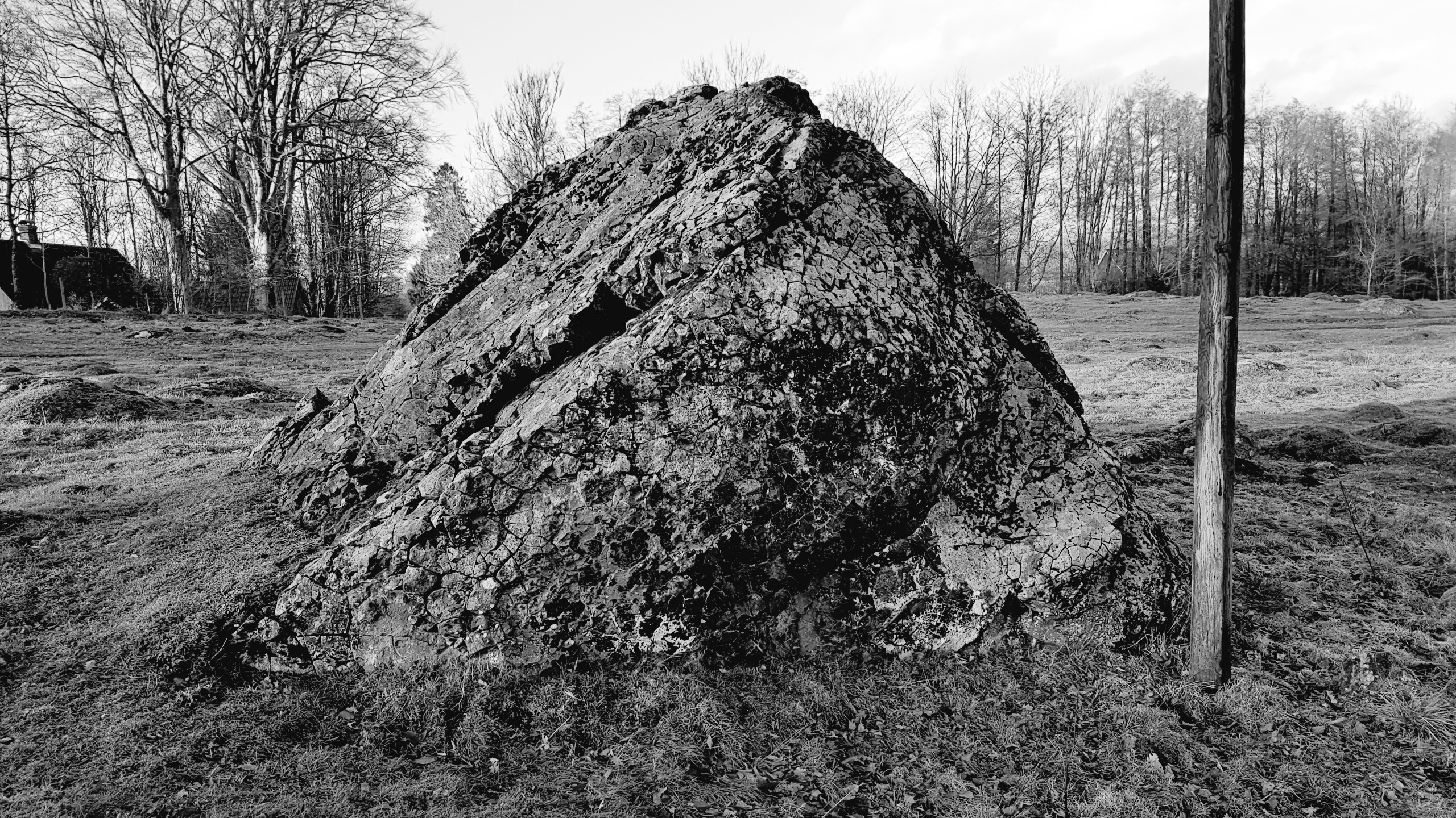 20161119_142740.jpg