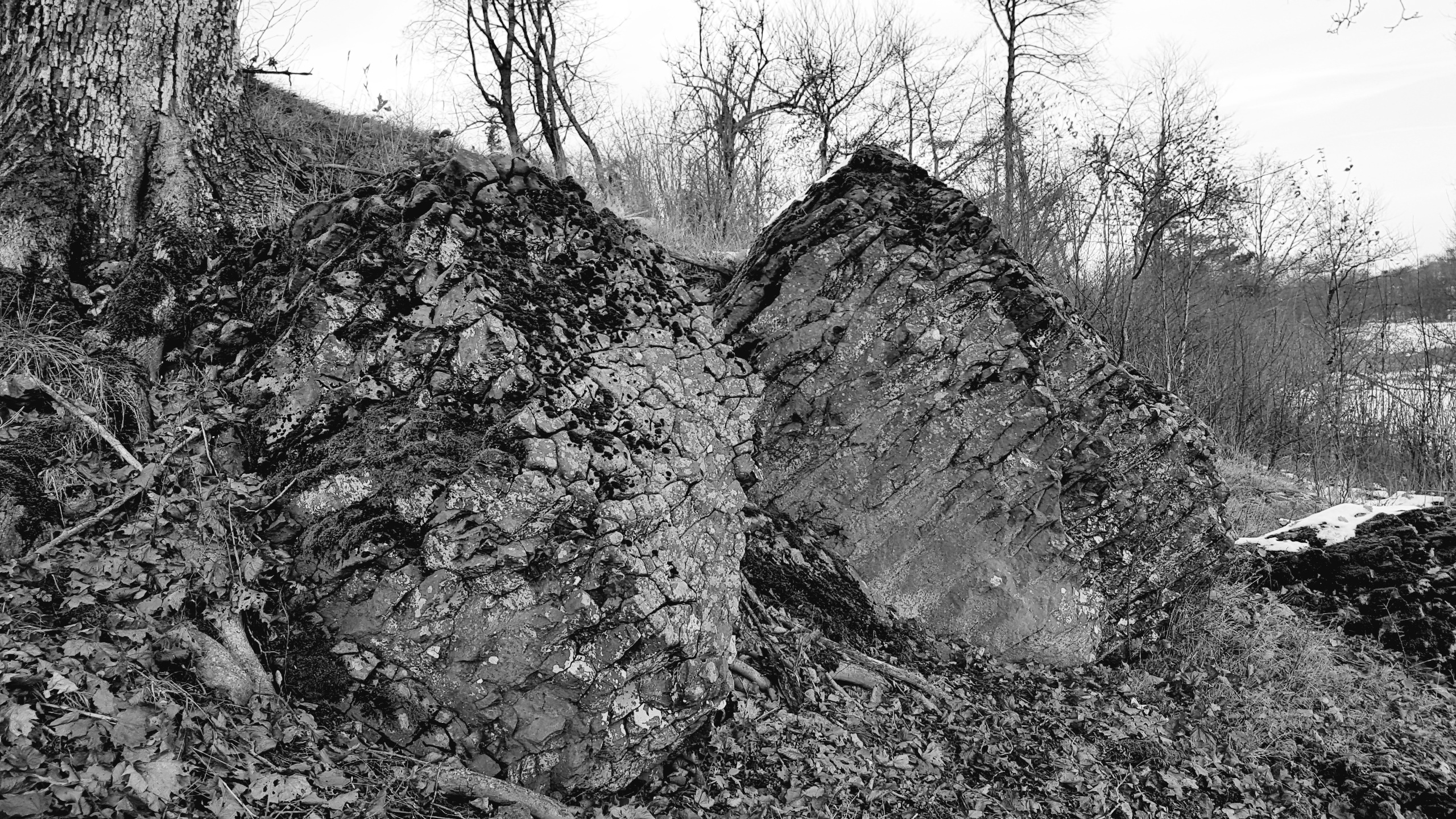 20161114_145643.jpg