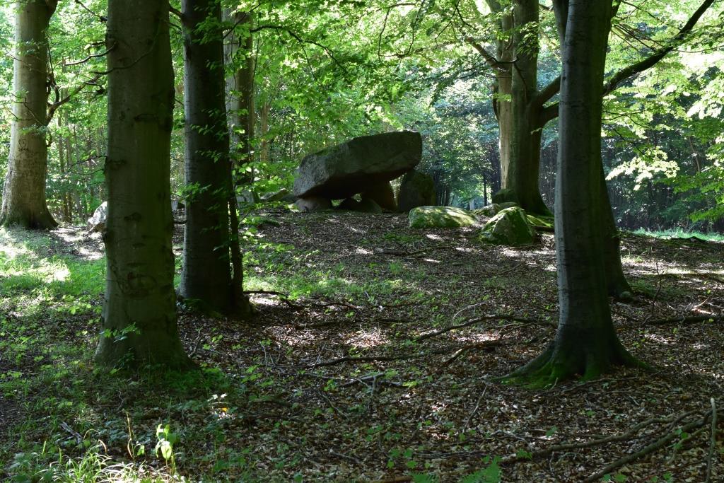 DSC_0041x.JPG