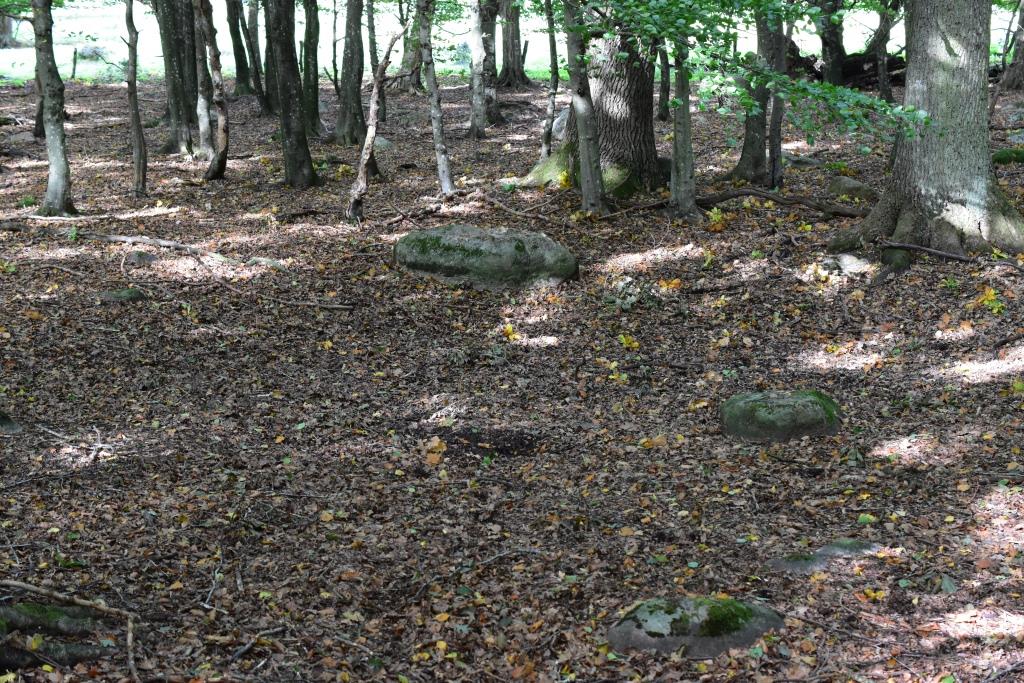 DSC_0292komp.JPG