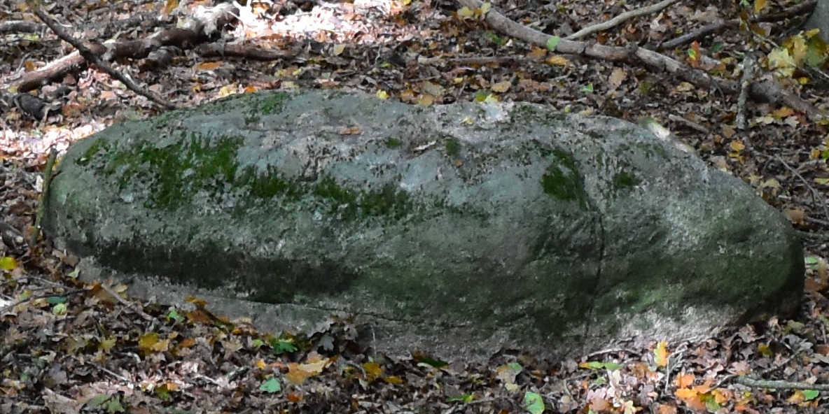 DSC_0292.JPG