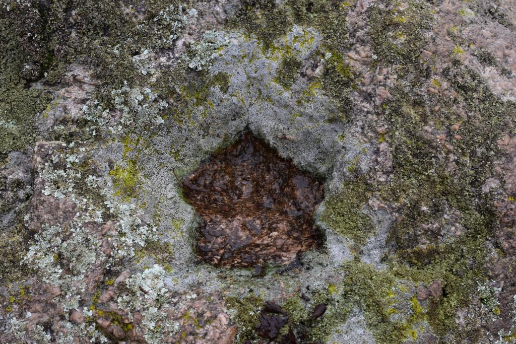 DSC_0393.JPG