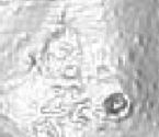 Marsön10.JPG