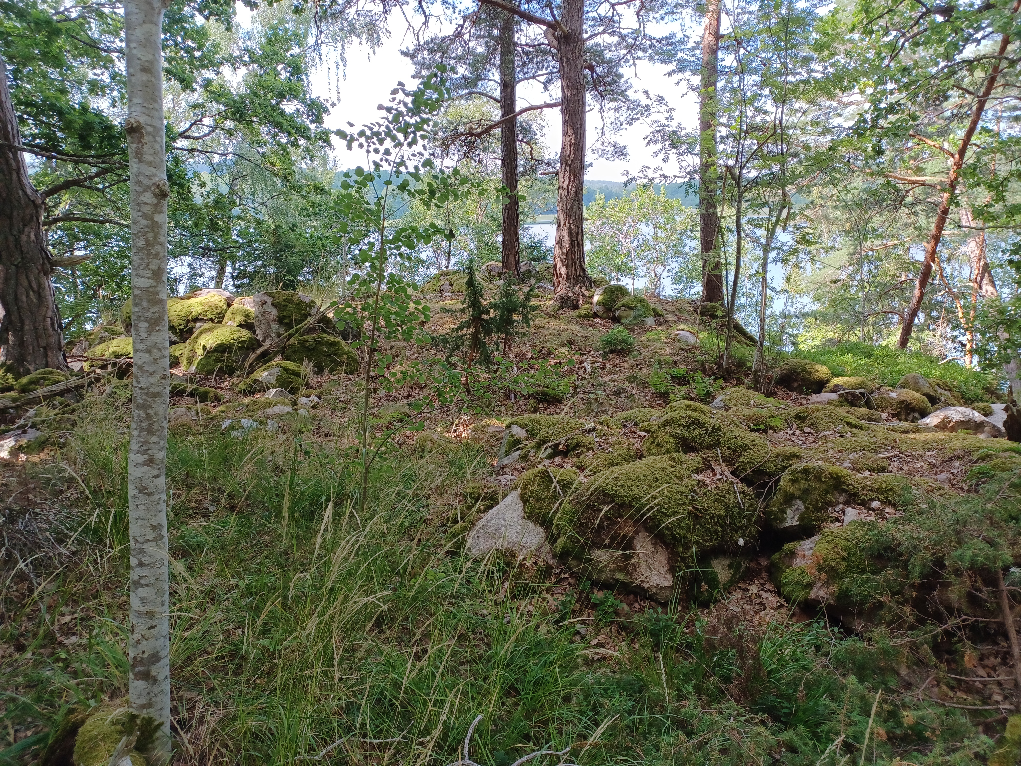 20220722_110235.jpg