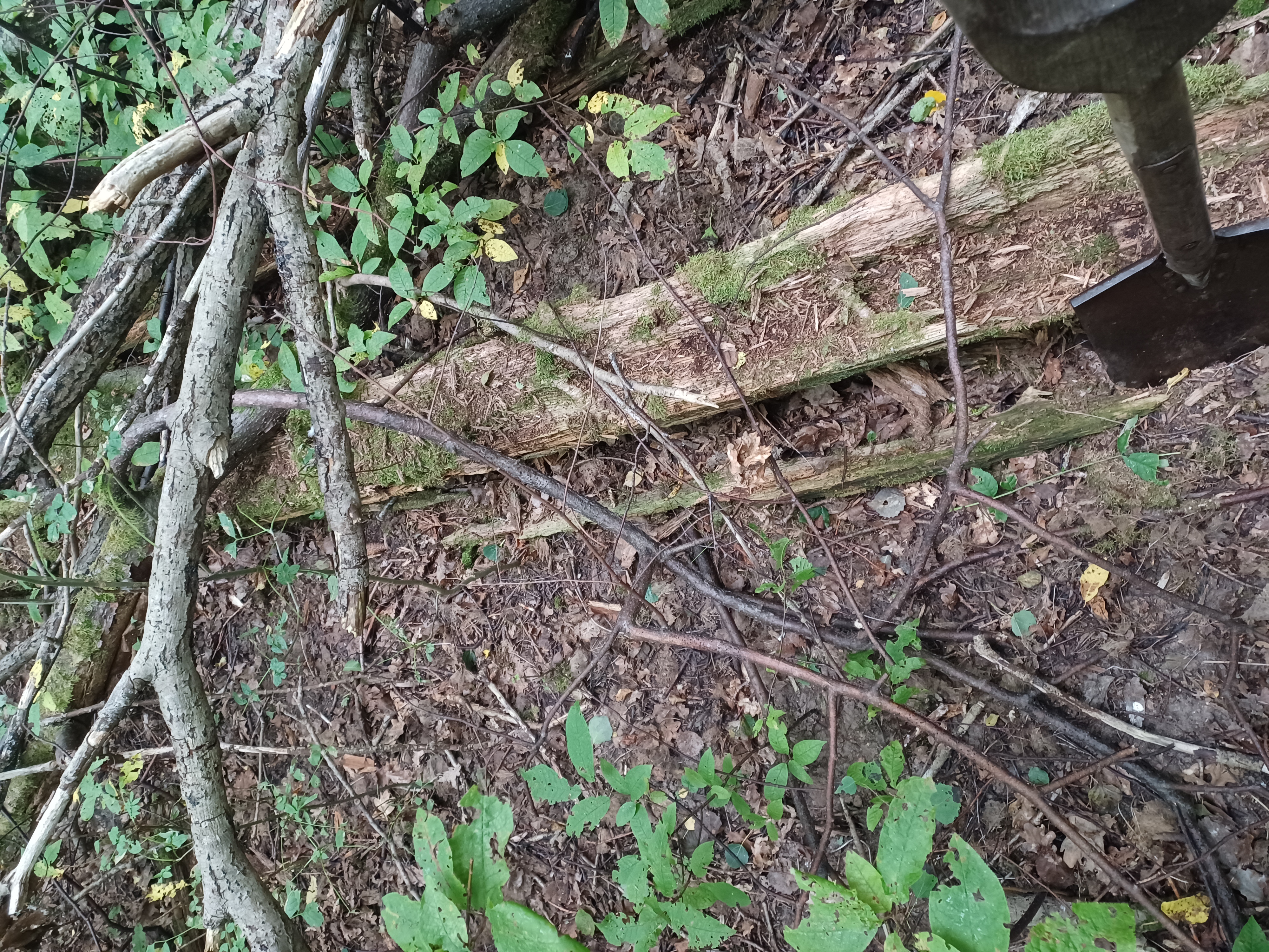 20220910_152719.jpg