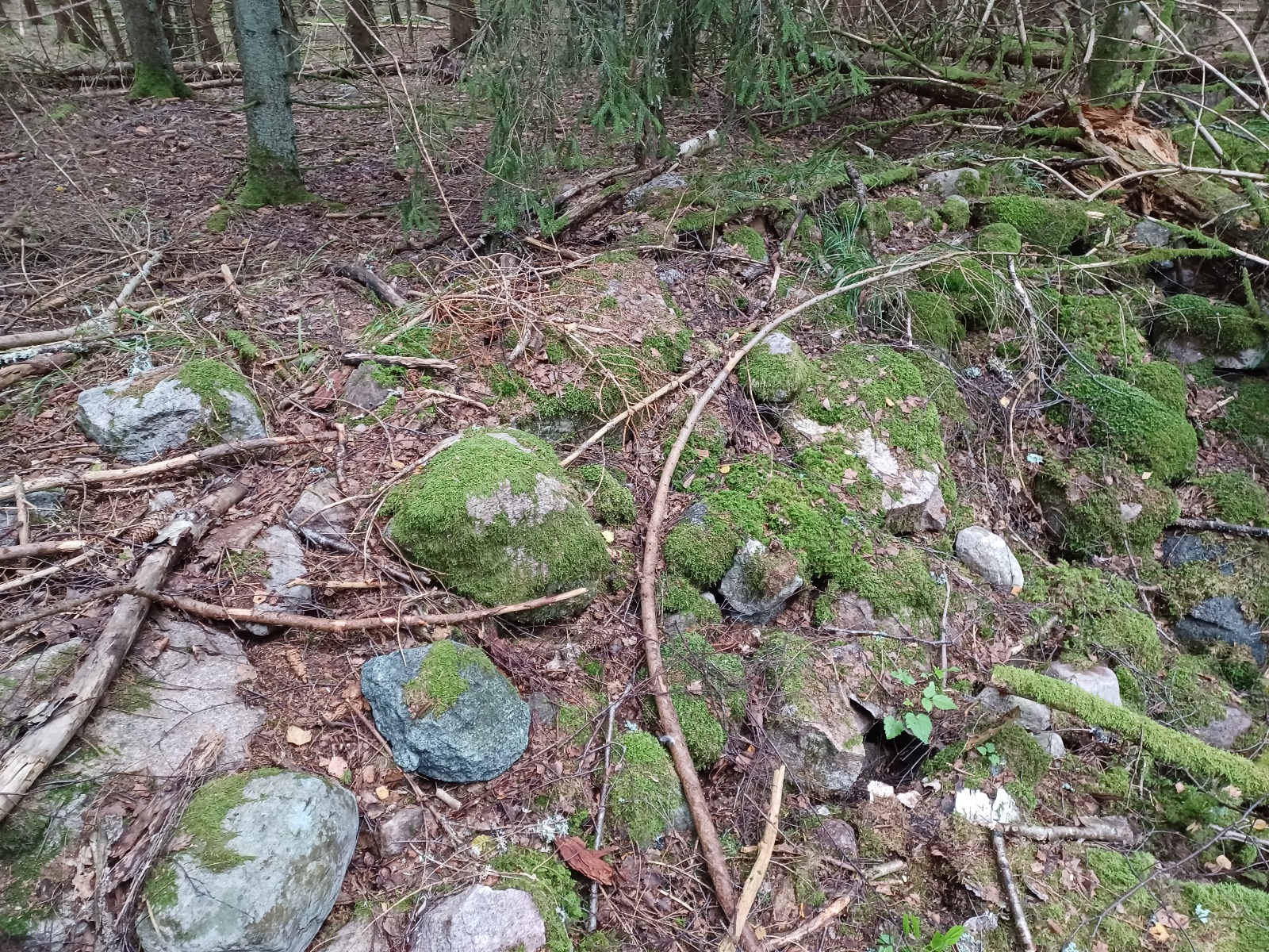 20220910_154659.jpg
