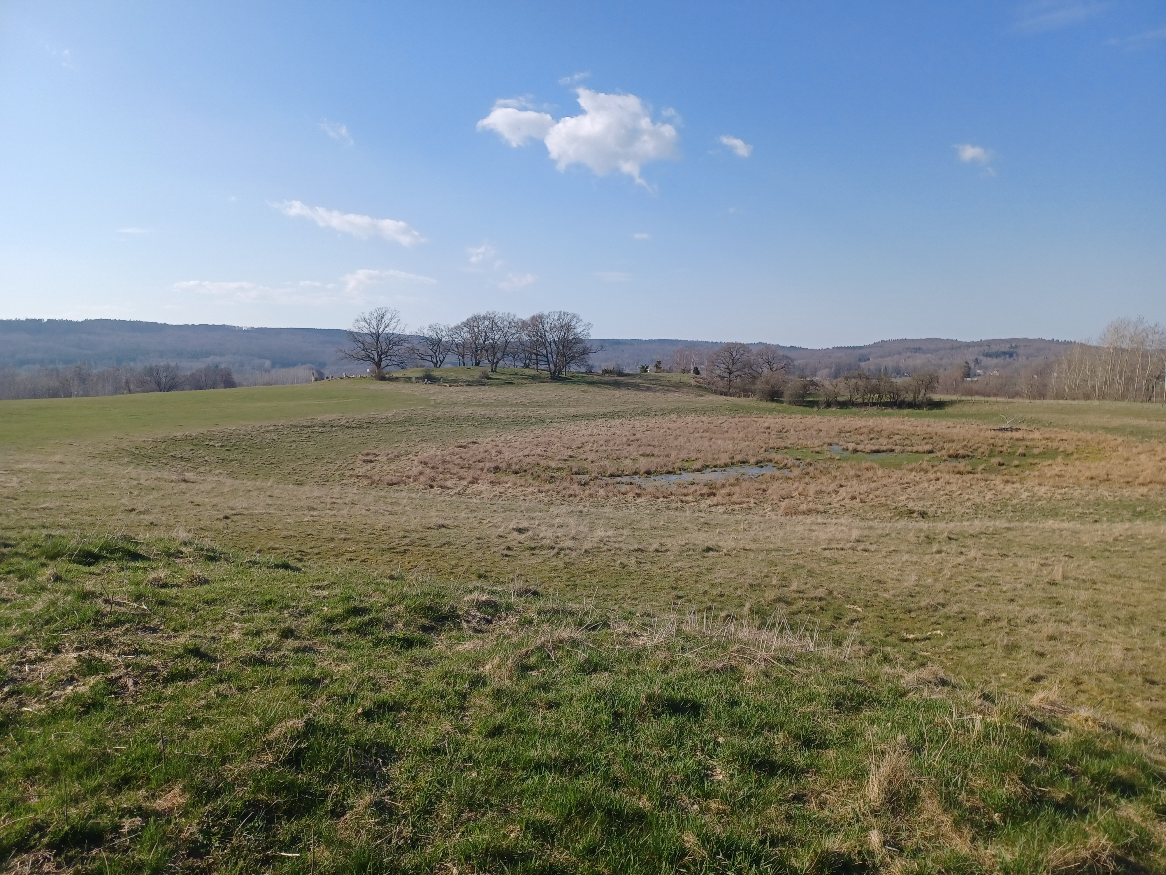 20230417_163706.jpg