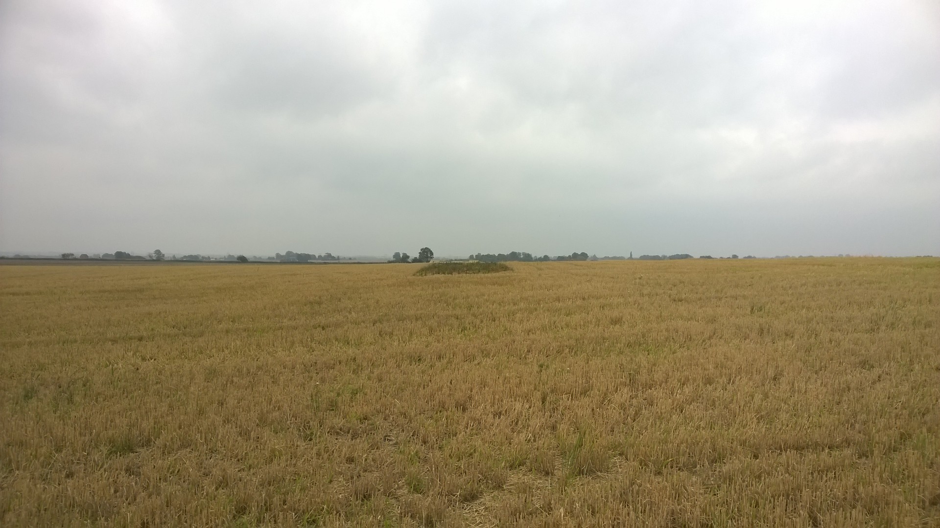 WP_20150913_0045.jpg