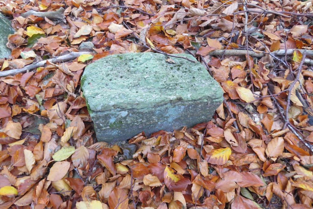IMG_0530.JPG